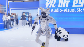 91无套极品外围在线播放